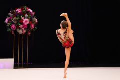 IMG_5062-scaled