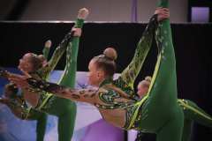 voimlemine_emv_2022_00218