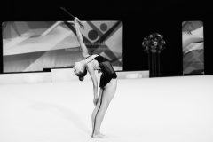 IMG_5738-scaled