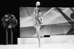 IMG_6076-scaled