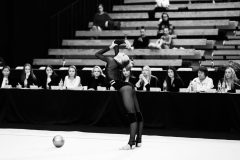 IMG_5304-1-scaled