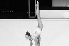 IMG_5337-1-scaled