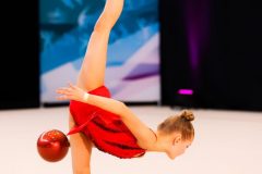 IMG_5555-1-scaled