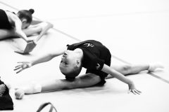 IMG_6353-scaled